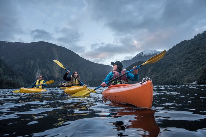 Doubtful Sound Overnight Cruise - Dinner, cabins, and one night at anchor