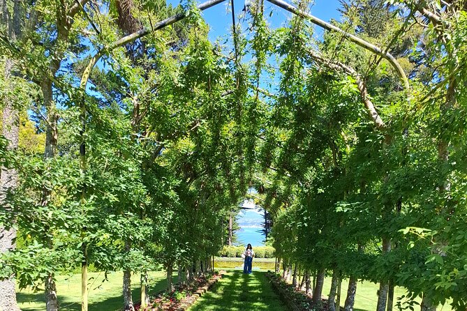 Dunedin and Otago Peninsula Private Tours Up to 4 people - Why this private Dunedin day works