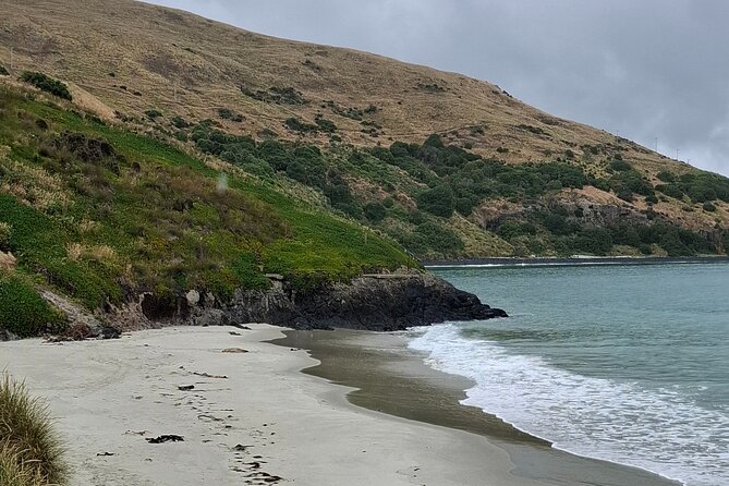 Dunedin and Otago Peninsula Private Tours Up to 4 people - Sandfly Bay and the first taste of wild coast