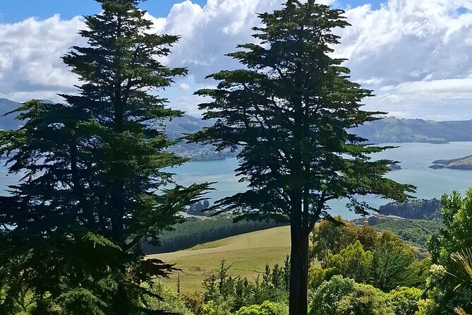 Dunedin and Otago Peninsula Private Tours Up to 4 people - Larnach Castle and gardens for a paid change of pace