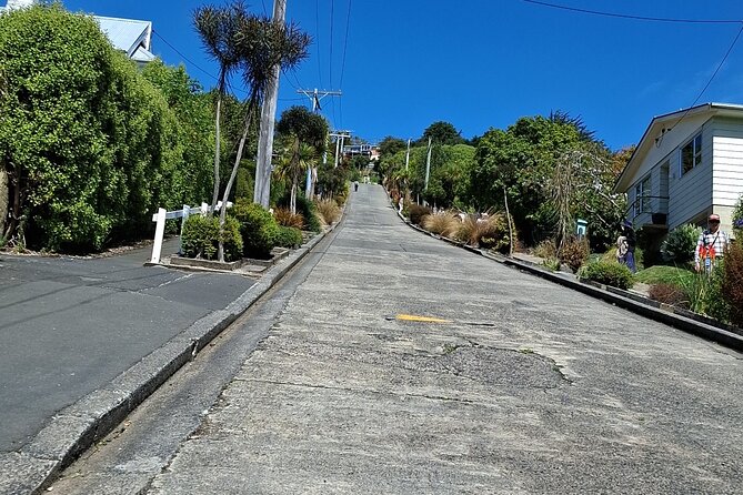 Dunedin and Otago Peninsula Private Tours Up to 4 people - The long peninsula drive and Māori culture