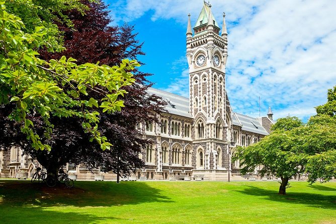 Dunedin City and Coastal Views 3-Hour Small-Group Guided Tour - Signal Hill gives you the broadest first view