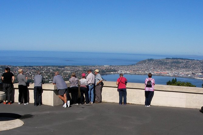 Dunedin City and Coastal Views 3-Hour Small-Group Guided Tour - Baldwin Street turns a postcard into a small challenge
