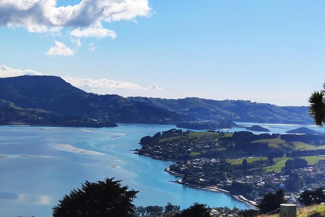 Dunedin City and Coastal Views 3-Hour Small-Group Guided Tour - The University of Otago adds local character