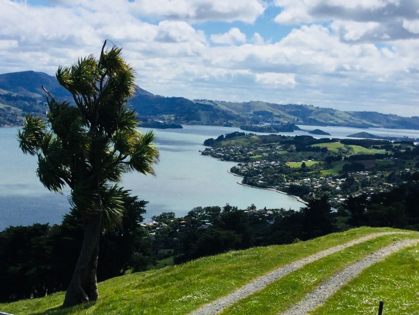 Dunedin: City Highlights and Otago Peninsula Scenery - Key points to know before booking