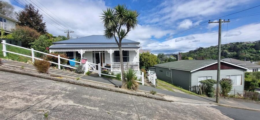 Dunedin City Highlights & Larnach Castle Tour - Baldwin Street: a short walk with a big angle