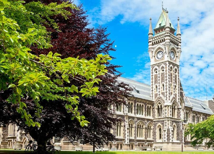 Dunedin City Highlights & Larnach Castle Tour - Signal Hill and the Otago Harbour