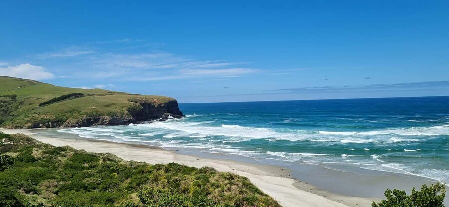 Dunedin City Highlights & Larnach Castle Tour - From the Octagon to the Railway Station