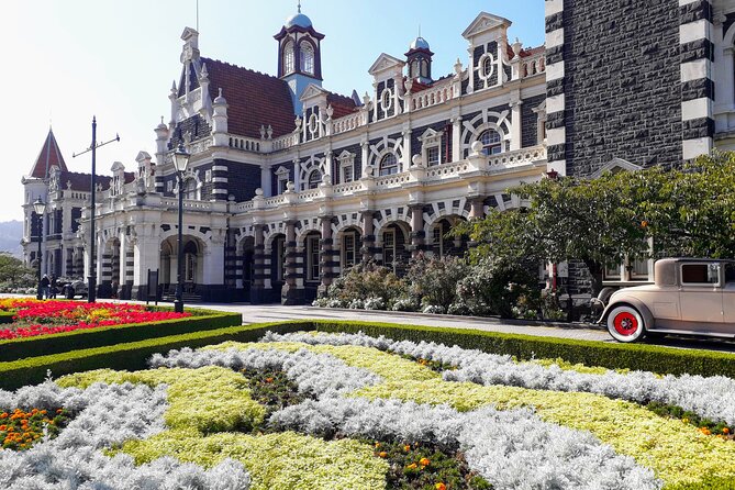 Dunedin City Highlights, Otago Peninsula Scenery & a Guided Penguin Reserve Tour - The Otago Peninsula road and its photo stops