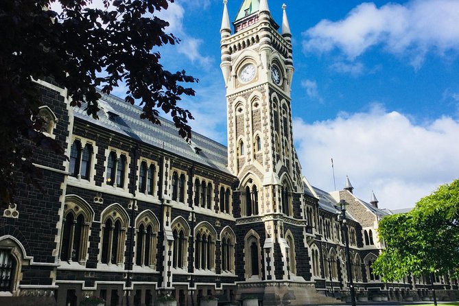 Dunedin City Highlights, Otago Peninsula Scenery & Albatross Guided Tour - The guides are a major part of the value