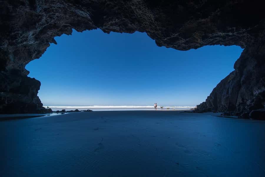 Dunedin City & Otago Peninsula Scenery Day Tour - Sandfly Bay is the day’s best wildlife chance