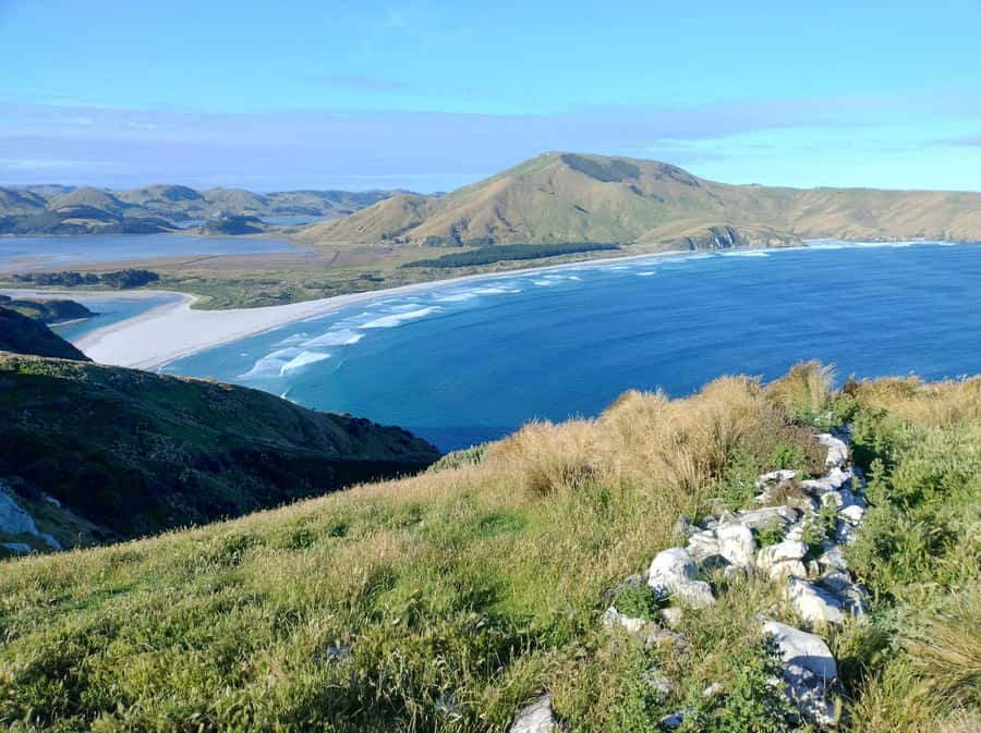Dunedin City & Otago Peninsula Scenery Day Tour - The Royal Albatross Centre and Taiaroa Head