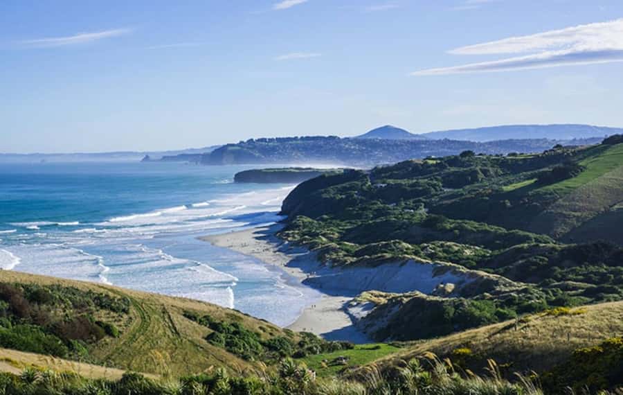 Dunedin City & Otago Peninsula Scenery Day Tour - The return to Port Chalmers