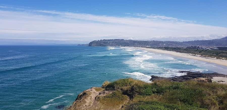 Dunedin City & Otago Peninsula Scenery Day Tour - What the minibus and guiding are really like