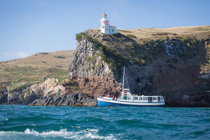 Dunedin City to Sea Wildlife Cruise + Peninsula Bus Tour - The Monarch cruise and the Otago Harbour