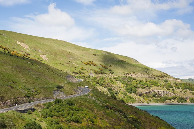 Dunedin City to Sea Wildlife Cruise + Peninsula Bus Tour - What the long return cruise is really like