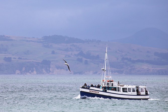 Dunedin City to Sea Wildlife Cruise + Peninsula Bus Tour - The Otago Peninsula bus tour from October to April