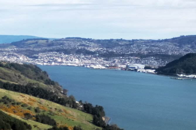 Dunedin City, Wildlife and Larnach Castle - Why this tour works well in Dunedin