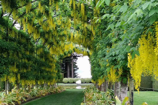 Dunedin City, Wildlife and Larnach Castle - What to expect at Taiaroa Head and the wildlife reserves