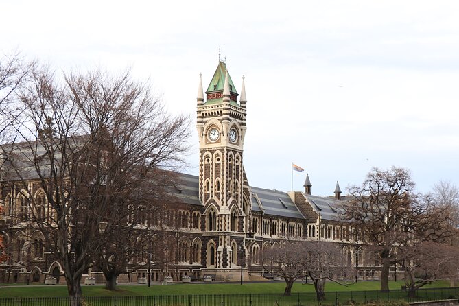 Dunedin City, Wildlife and Larnach Castle - Dunedin begins with a steep street and strong Scottish character
