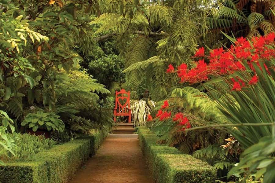 Dunedin: Larnach Castle & Gardens Admission Ticket - Why Larnach Castle feels different from a European castle