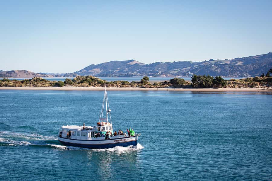 Dunedin: Monarch - One Hour Wildlife Cruise - Reaching Wellers Rock Wharf from Dunedin