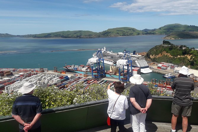 Dunedin Nature & City Tour – Full Day Cruise Excursion - St Clair and Saint Kilda bring in the coast