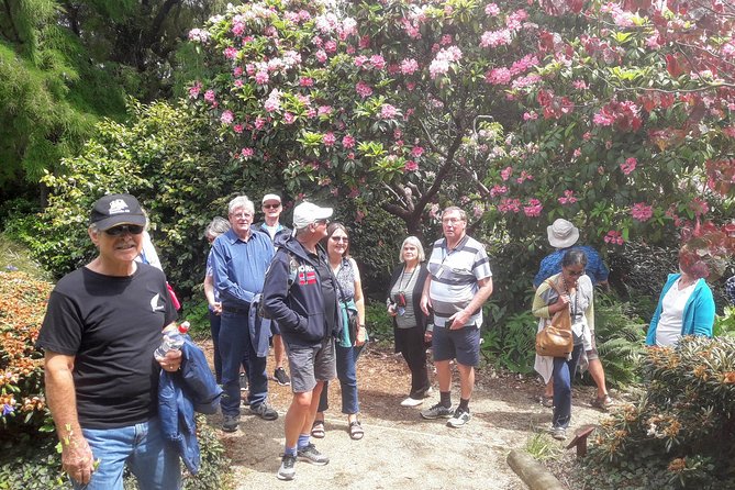 Dunedin Nature & City Tour – Full Day Cruise Excursion - Railway Station and Baldwin Street provide two very different Dunedin icons