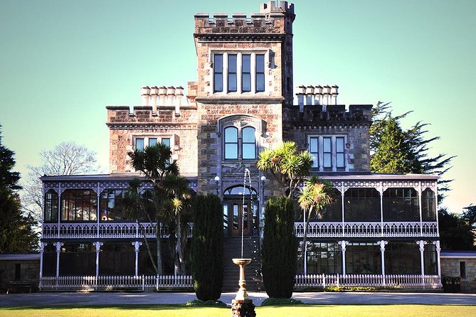 Dunedin Nature & City Tour – Full Day Cruise Excursion - Mount Cargill opens up the harbour views