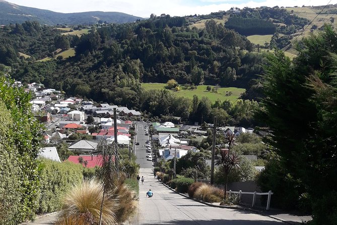 Dunedin Nature & City Tour – Full Day Cruise Excursion - Toitū Otago Settlers Museum adds depth to the city visit