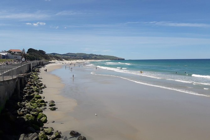 Dunedin Nature & City Tour – Full Day Cruise Excursion - Botanic Garden time changes with the weather