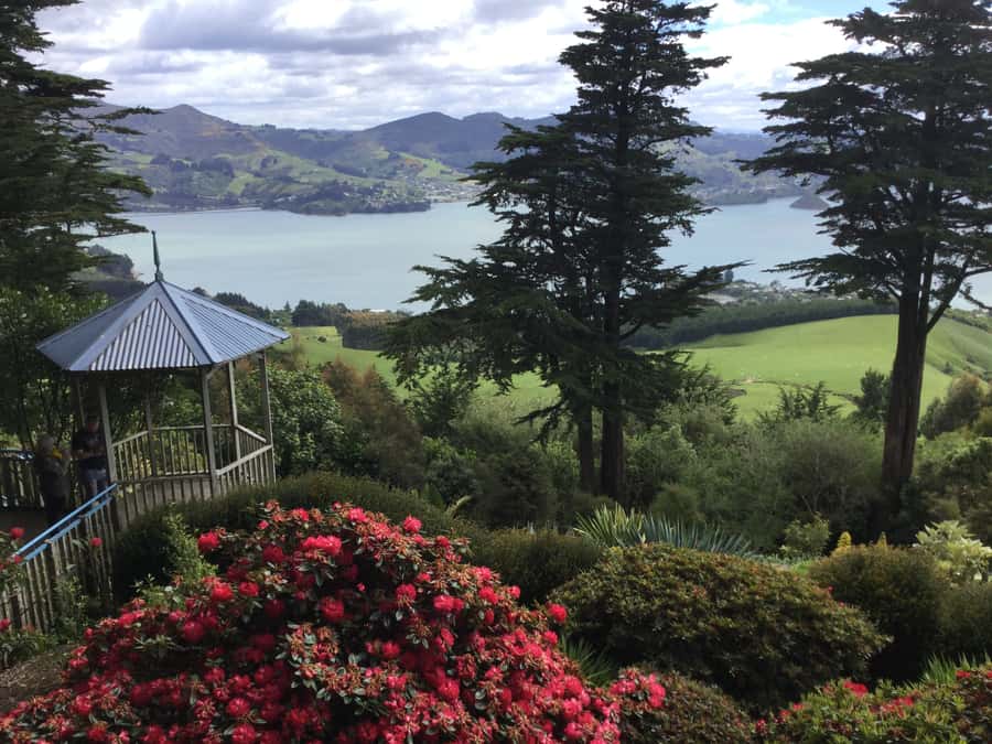 Dunedin: Peninsula with Lanarch Castle gardens & Olveston - Stories at the Northern Cemetery and central Dunedin