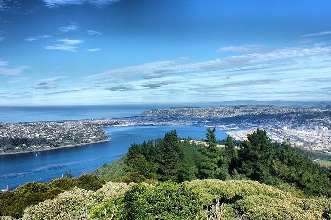 Dunedin Private Fullday Tour - What the $434.40 price buys you