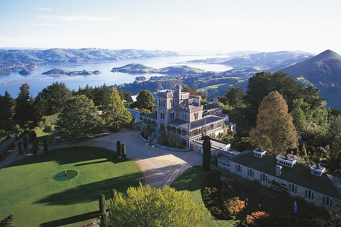 Dunedin Shore Excursion City Sightseeing & Tour of Larnach Castle - Free time in Dunedin: useful, but longer than some expect