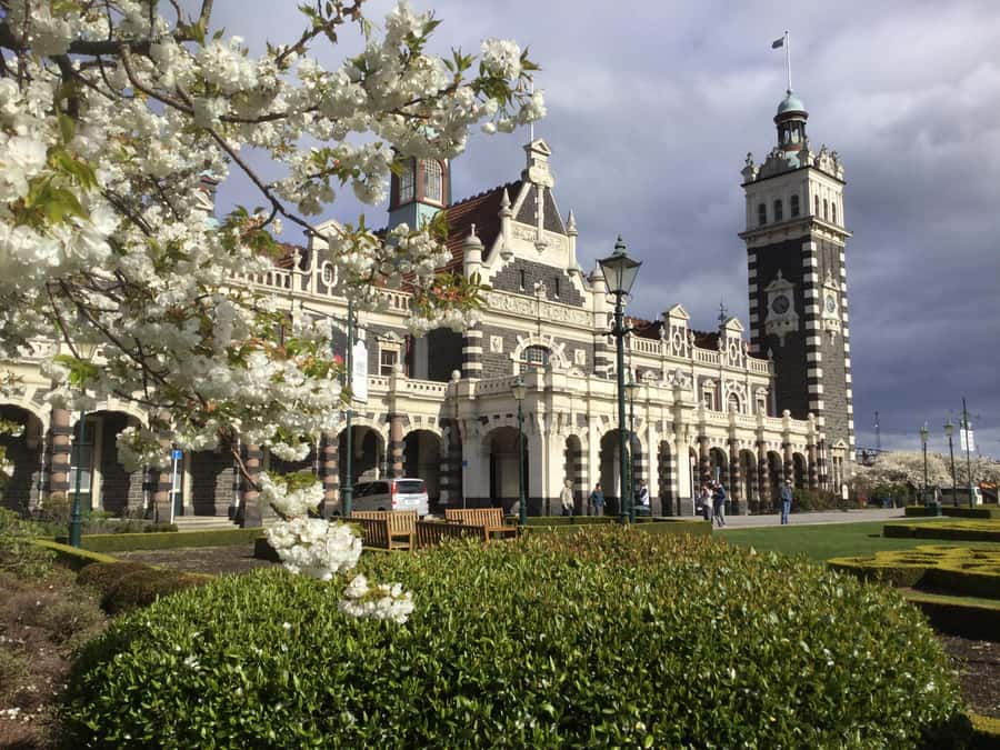 Dunedin: Small Group City Highlights Tour - Key points at a glance