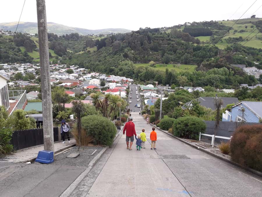 Dunedin: Small Group City Highlights Tour - Dunedin Railway Station, the city’s grand photo stop