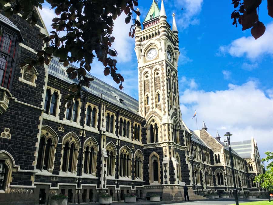 Dunedin: Small Group City Highlights Tour - Otago University and Dunedin’s student character
