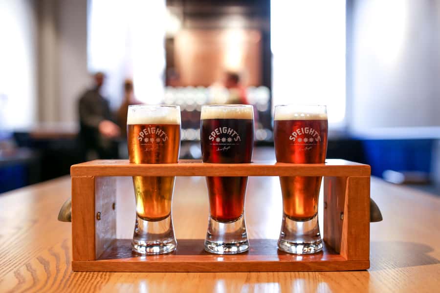 Dunedin: Speight's Brewery Guided Tour with Tasting - Is $28 good value for 75 minutes?