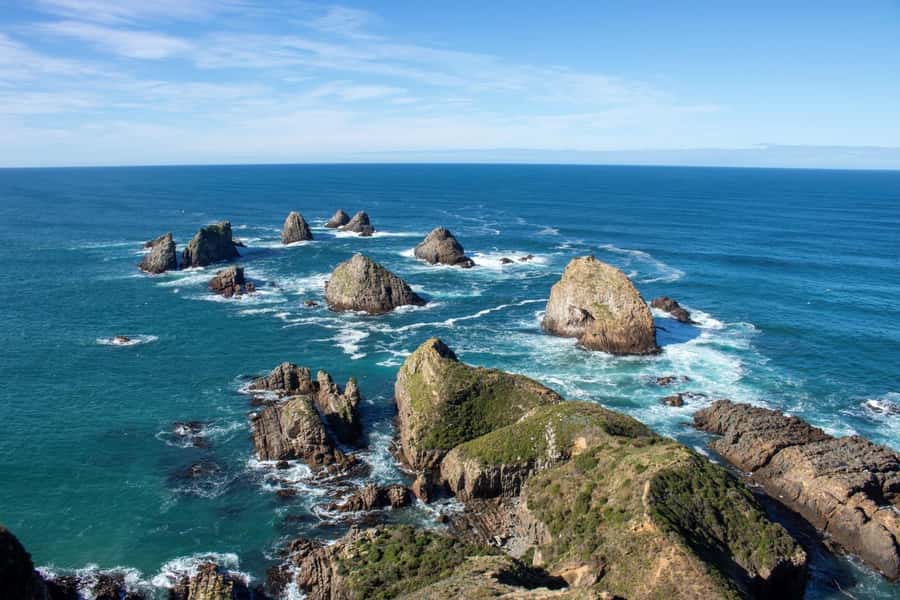 Dunedin to Te Anau via The Catlins & Invercargill 1 Way Tour - Who will enjoy this Catlins day