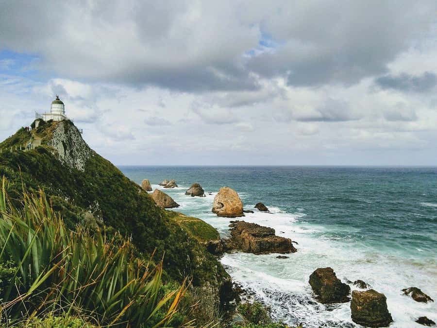 Dunedin to Te Anau via The Catlins & Invercargill 1 Way Tour - A comfortable start from Dunedin