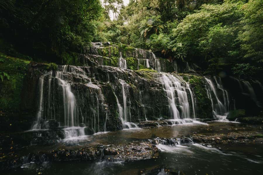Dunedin to Te Anau via The Catlins & Invercargill 1 Way Tour - Papatowai and the Lost Gypsy Caravan