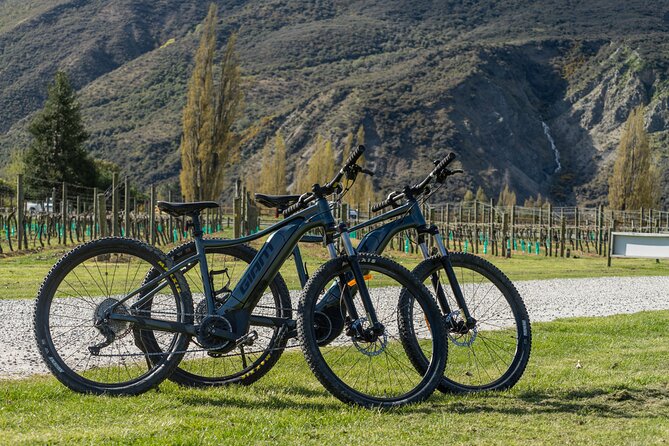 E-Bike Adventures Through the Wineries in Gibbston - The Arrow River Bridges Trail and its changing views