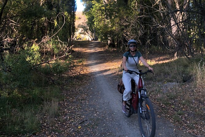 ebike tour lake Dunstan wine tasting - How the day handles wine, food, and time