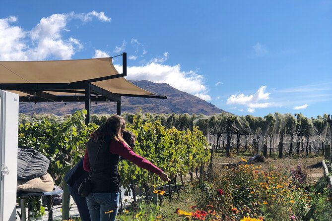 ebike tour lake Dunstan wine tasting - Is the price of $167.70 fair?
