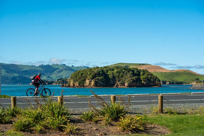 Electric Bike Rental - The harbor loop gives you two good directions
