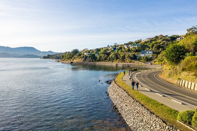 Electric Bike Rental - Exploring the Otago Peninsula at your own speed