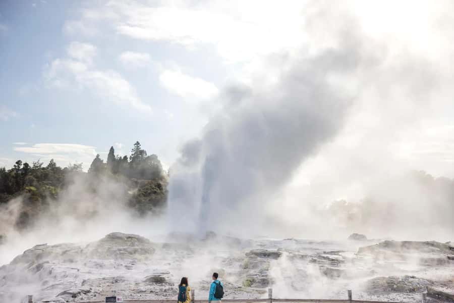 Ex Auckland: TE PUIA Geothermal, Redwood & Blue Springs - The early departure from Auckland