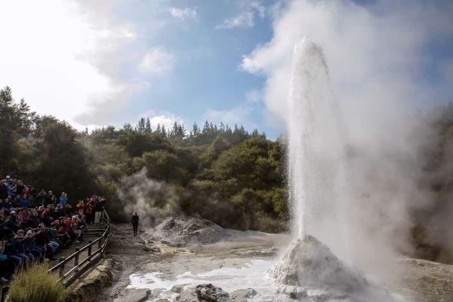 Ex Auckland: TRIPLE DEAL Wai-O-Tapu, Redwood & Blue Springs - Lady Knox Geyser at 10:15 AM