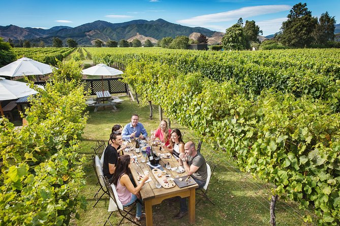 Exclusive Picton Wine & Scenic Adventure: VIP Cruise Experience - Why the group price can work