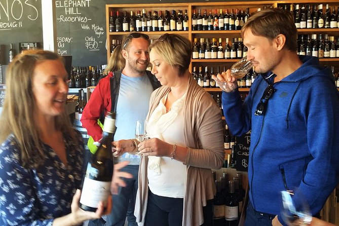Exclusive Picton Wine & Scenic Adventure: VIP Cruise Experience - Cloudy Bay and familiar Marlborough names